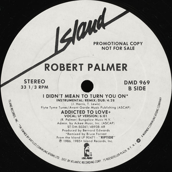 Robert Palmer – I Didn't Mean To Turn You On (NM, FUNDA VG+) BOX18