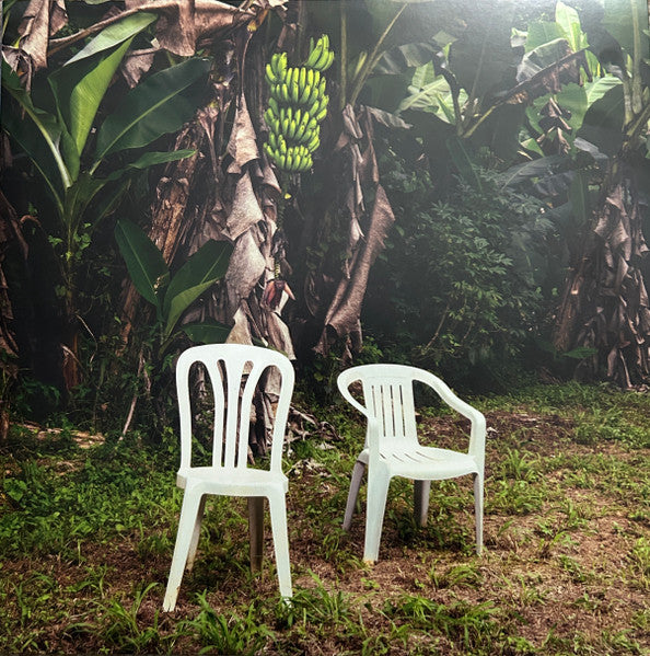 Bad Bunny – Debí Tirar Más Fotos / DISCO DOBLE (NUEVO, SELLADO)