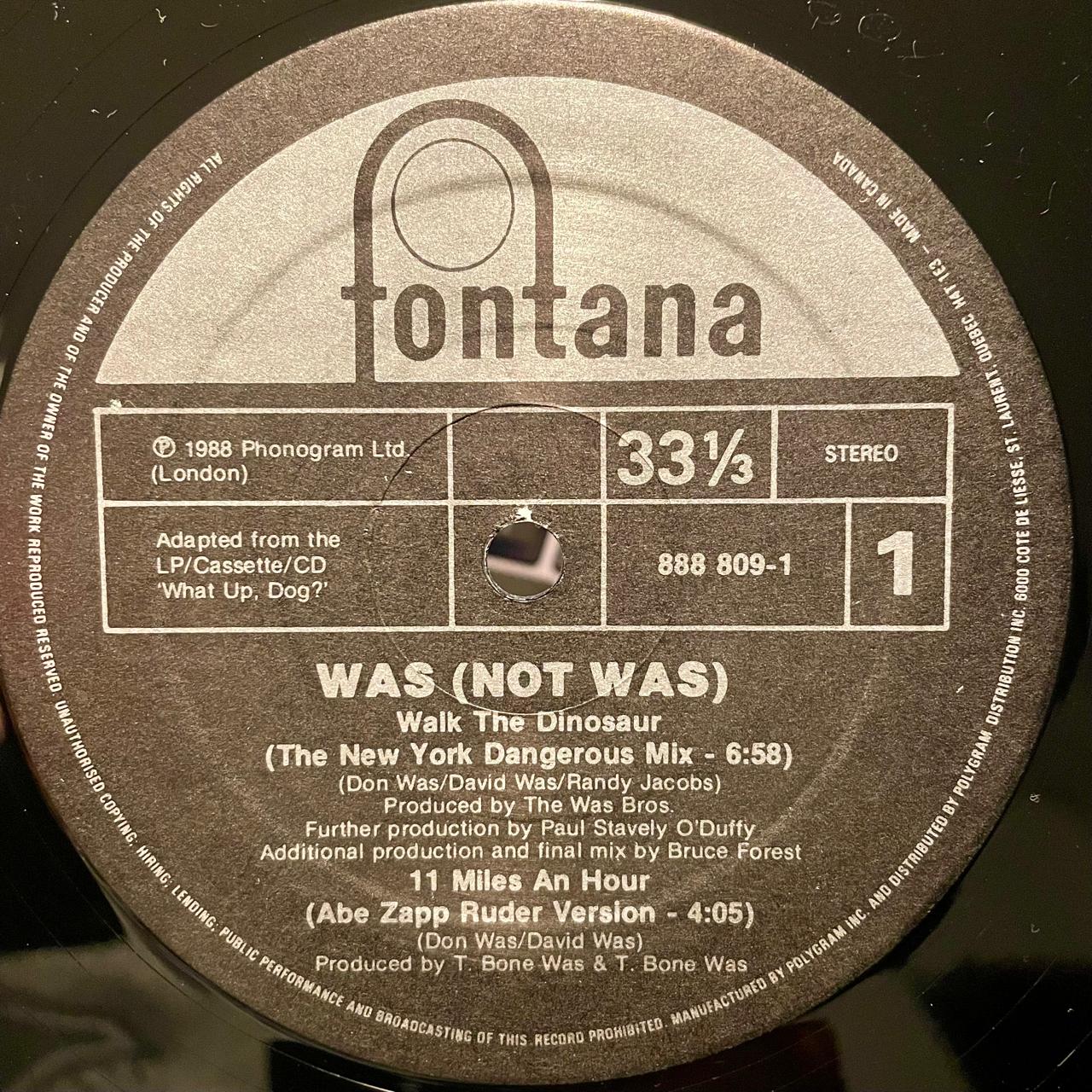 Was (Not Was) – Walk The Dinosaur (NM, FUNDA EX)