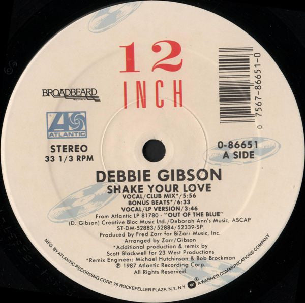 Debbie Gibson – Shake Your Love (NM, FUNDA VG+) BOX16