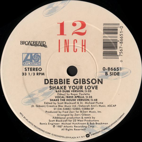 Debbie Gibson – Shake Your Love (NM, FUNDA VG+) BOX16