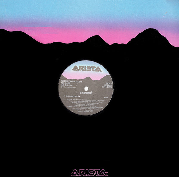Exposé – Exposed To Love (NM, FUNDA VG+)