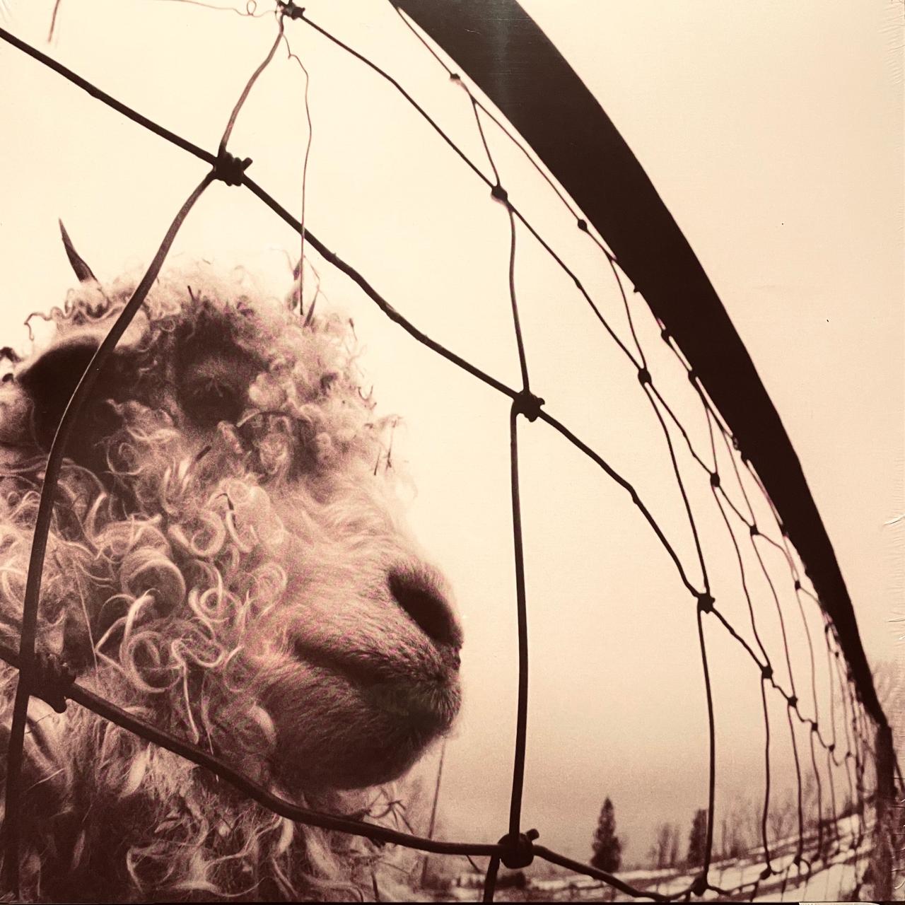Pearl Jam – Vs. (NUEVO, SELLADO)