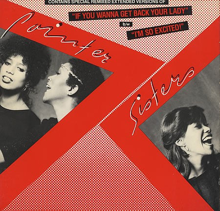 Pointer Sisters – If You Wanna Get Back Your Lady / I'm So Excited (EX) BOX32