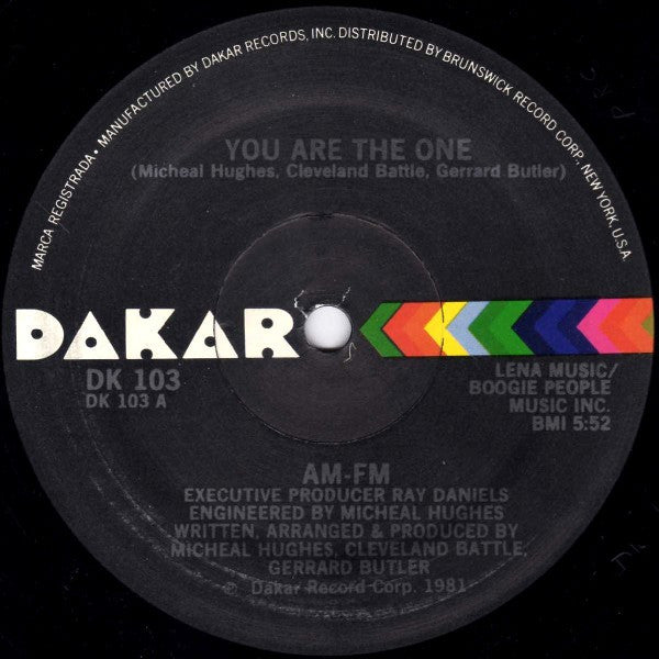 AM-FM – You Are The One (VG+, FUNDA GENÉRICA) BOXE2