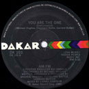 AM-FM – You Are The One (VG+, FUNDA GENÉRICA) BOXE2
