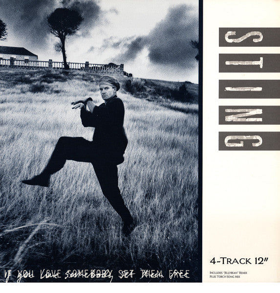 Sting – If You Love Somebody Set Them Free (NM, FUNDA VG+) BOX19
