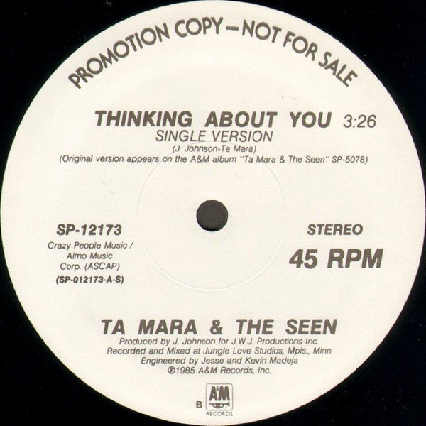 Ta Mara & The Seen – Thinking About You (VG+) BOX31