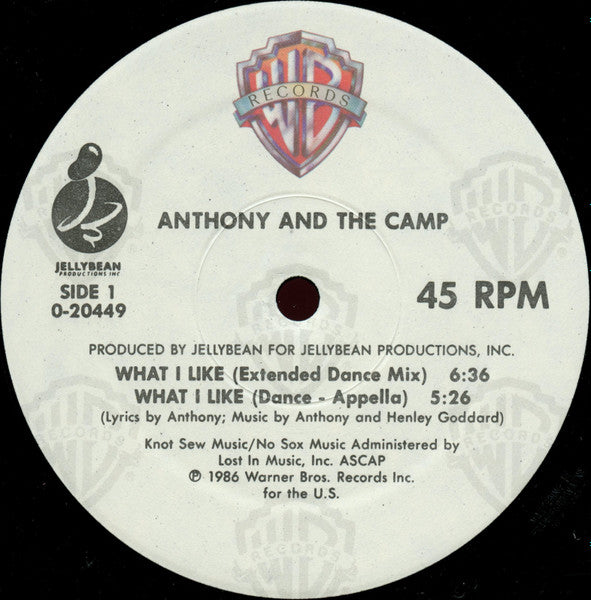 Anthony And The Camp – What I Like (NM, FUNDA VG+) BOX7