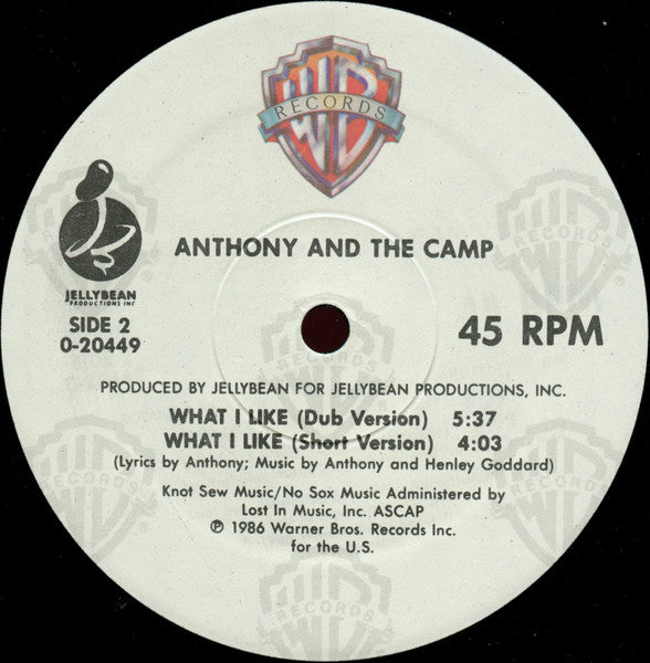 Anthony And The Camp – What I Like (NM, FUNDA VG+) BOX7