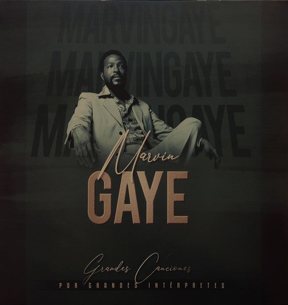 Marvin Gaye – Grandes Canciones Por Grandes Intérpretes (NUEVO, SELLADO) BOXV32