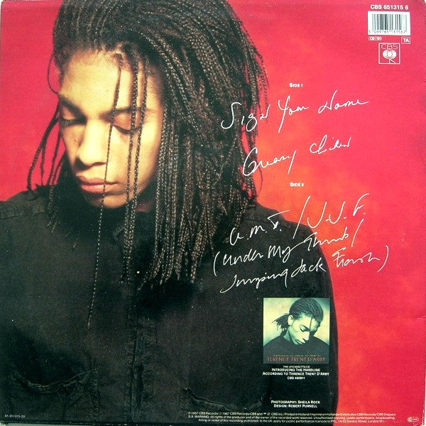 Terence Trent D'Arby – Sign Your Name (NM) BOX36
