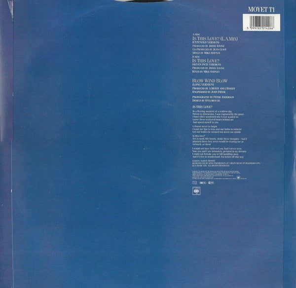 Alison Moyet – Is This Love? (NM, FUNDA EX)