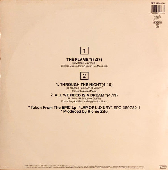 Cheap Trick – The Flame (NM, FUNDA EX) BOX24