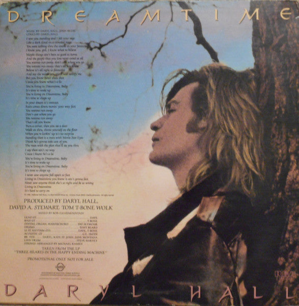 Daryl Hall – Dreamtime (NM, FUNDA VG+) BOX33