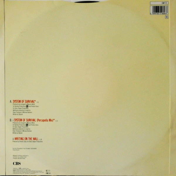 Earth, Wind & Fire – System Of Survival (EX)