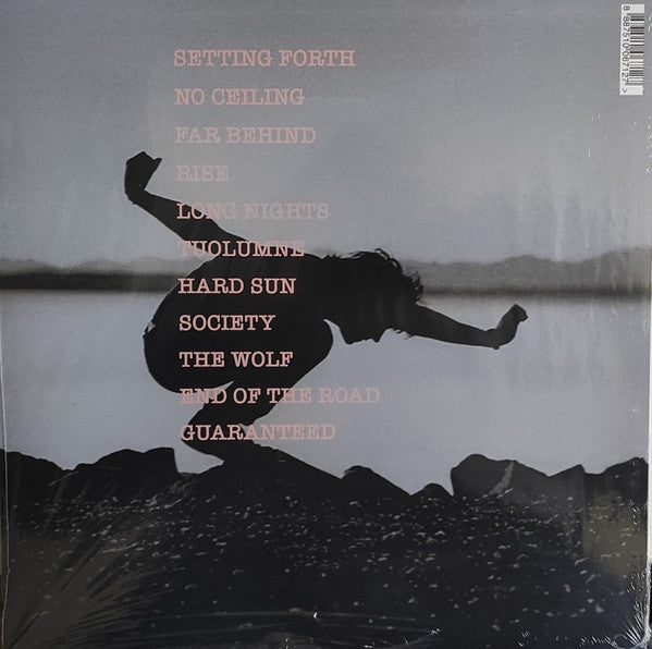 Eddie Vedder – Into The Wild (NUEVO, SELLADO)