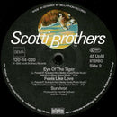 Survivor – Burning Heart (NM, FUNDA VG+) BOX 24