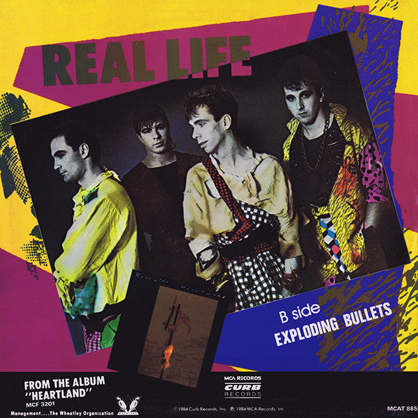 Real Life – Catch Me I'm Falling (NM, FUNDA VG+) BOX6
