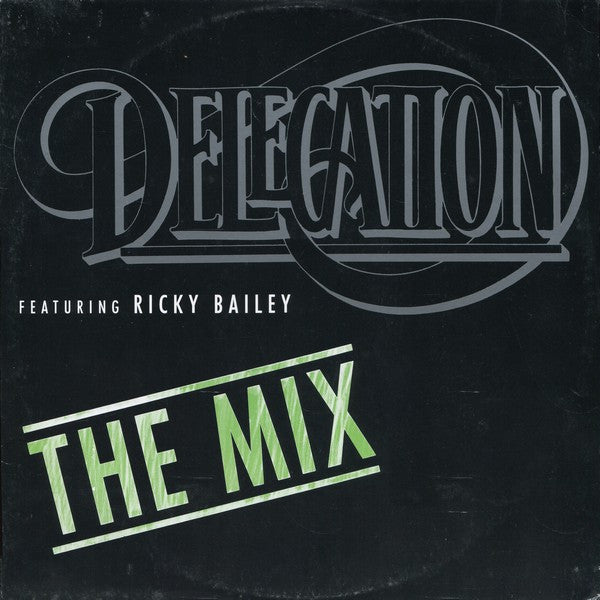 Delegation Feat. Ricky Bailey – The Mix (VG+) BOX5
