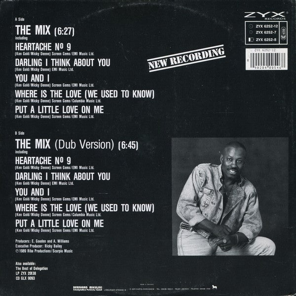 Delegation Feat. Ricky Bailey – The Mix (VG+) BOX5