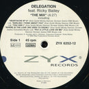 Delegation Feat. Ricky Bailey – The Mix (VG+) BOX5