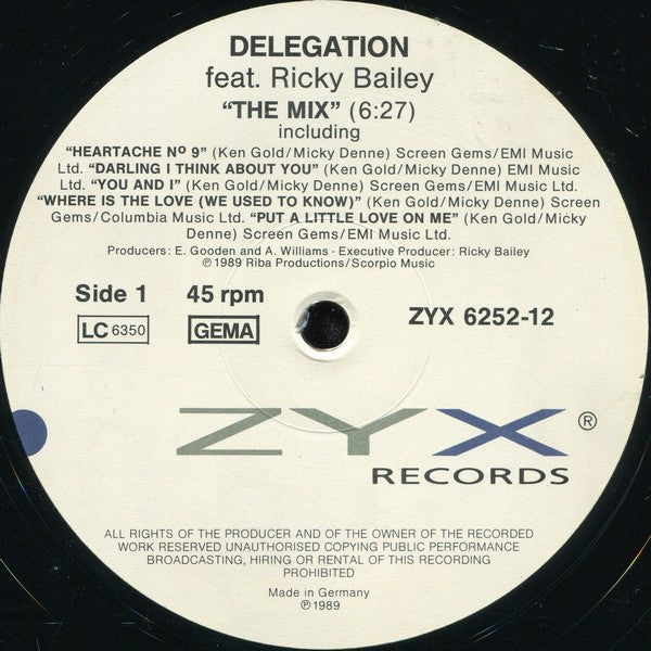 Delegation Feat. Ricky Bailey – The Mix (VG+) BOX5