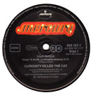 Curiosity Killed The Cat – Down To Earth (Extended Mix) (EX) BOX24