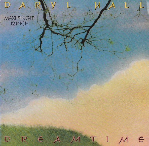 Daryl Hall ‎– Dreamtime (NM) BOX5