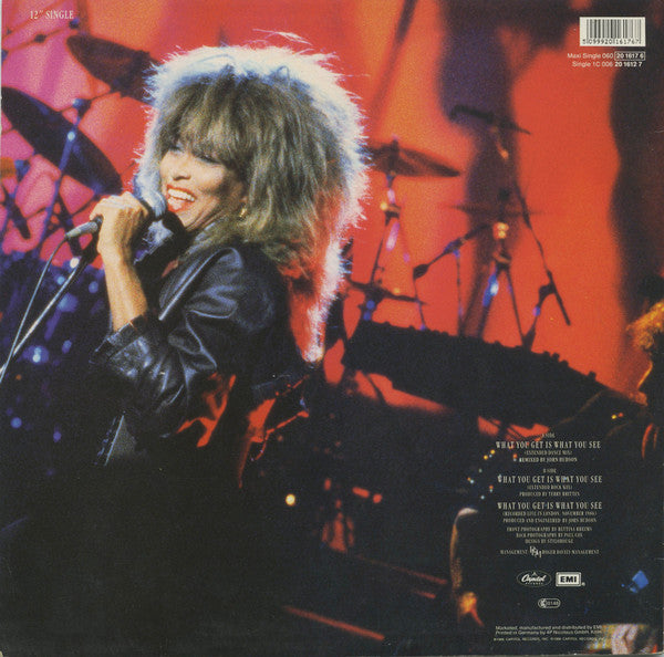 Tina Turner – What You Get Is What You See (VG+) BOX16