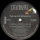 The Blow Monkeys – Digging Your Scene (NM, FUNDA EX) BOX24