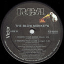 The Blow Monkeys – Digging Your Scene (NM, FUNDA EX) BOX24