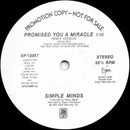 Simple Minds – Promised You A Miracle (VG+ PEQUEÑA MARCA CON LAPIZ EN LA GALLETA) BOX 11