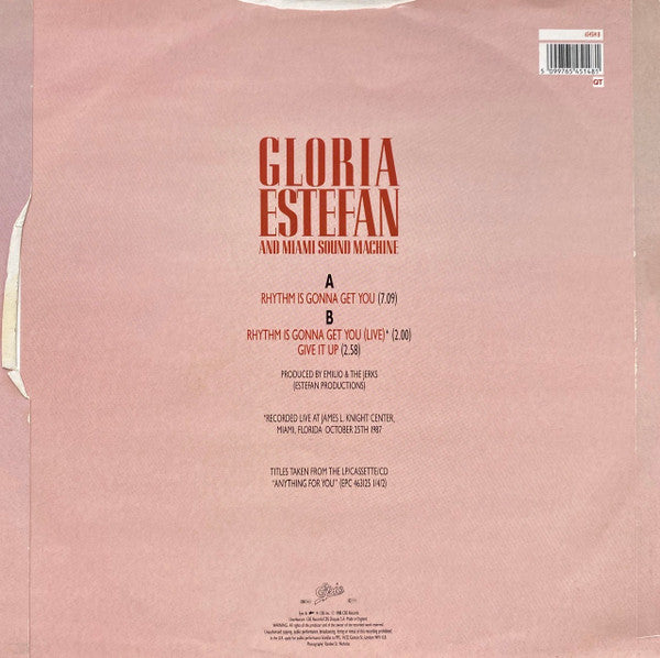 Gloria Estefan And Miami Sound Machine – Rhythm Is Gonna Get You (VG+) BOX26