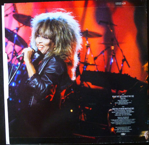 Tina Turner – What You Get Is What You See (Dance Mix) (NM) BOX16