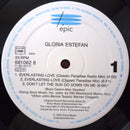 Gloria Estefan – Everlasting Love (VG+) BOX25