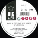 Yazz – Stand Up For Your Love Rights (EX, FUNDA VG+) BOX3