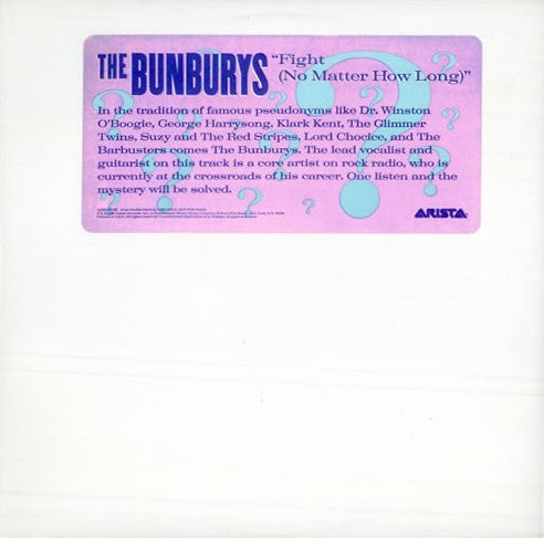 The Bunburys – Fight (No Matter How Long) (NM) BOXE4