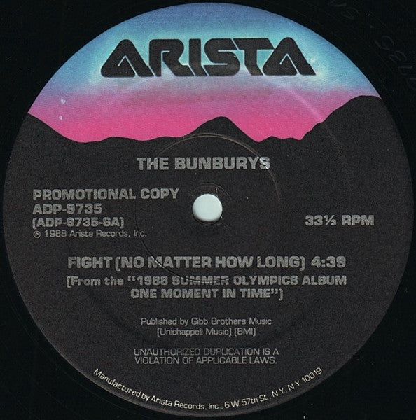 The Bunburys – Fight (No Matter How Long) (NM) BOXE4