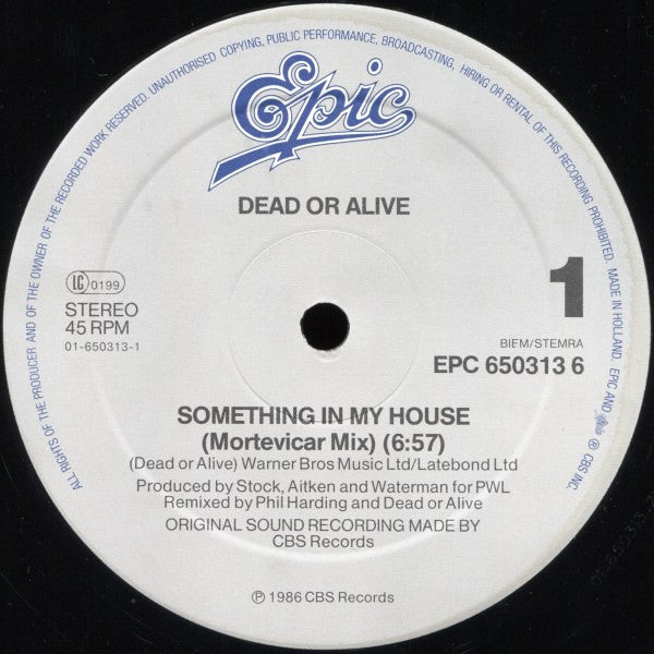 Dead Or Alive – Something In My House (Mortevicar Mix) (VG+ FUNDA VG) BOX14