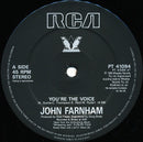 John Farnham – You're The Voice (NM, FUNDA VG+) BOX10