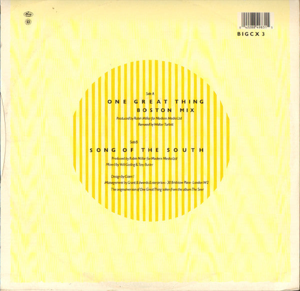 Big Country – One Great Thing (Extended Mix) (NM) BOX8