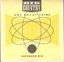 Big Country – One Great Thing (Extended Mix) (NM) BOX8
