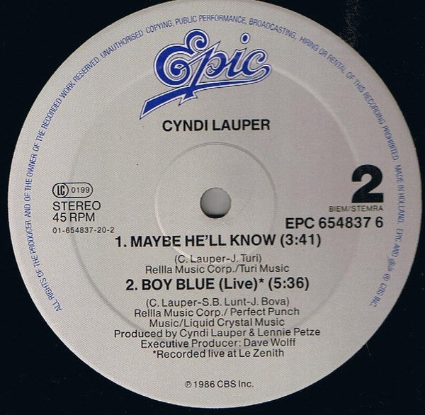 Cyndi Lauper – I Drove All Night (VG+) BOX17
