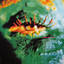 Electribe 101 – Tell Me When The Fever Ended (EX) BOXE1