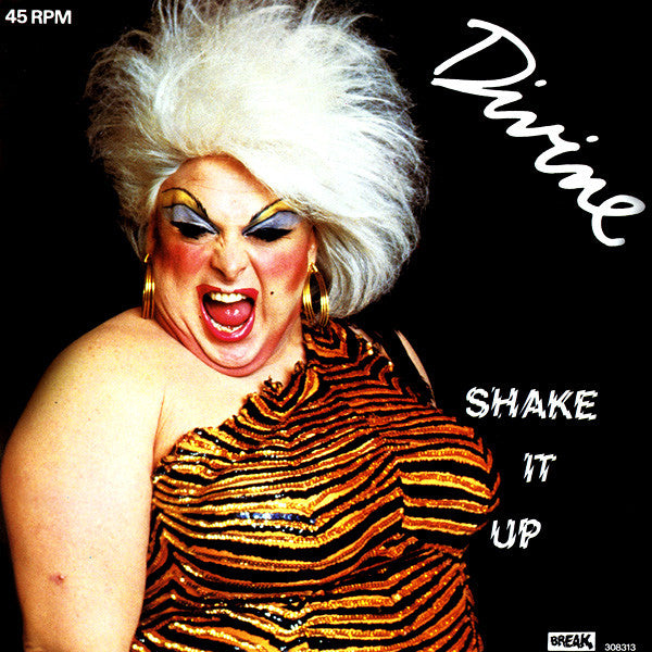 Divine ‎– Shake It Up (NM, FUNDA VG+) BOX7