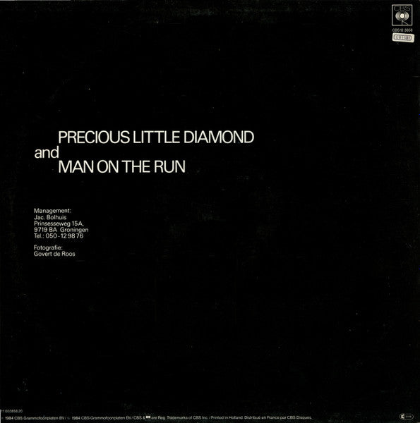 Fox The Fox – Precious Little Diamond (Special Remix) (EX, FUNDA VG+) BOX25