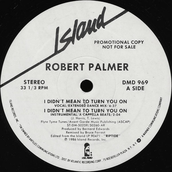 Robert Palmer – I Didn't Mean To Turn You On (NM, FUNDA VG+) BOX18
