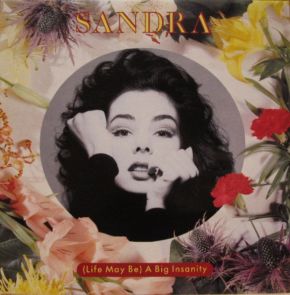 Sandra – (Life May Be) A Big Insanity (VG+) Box8