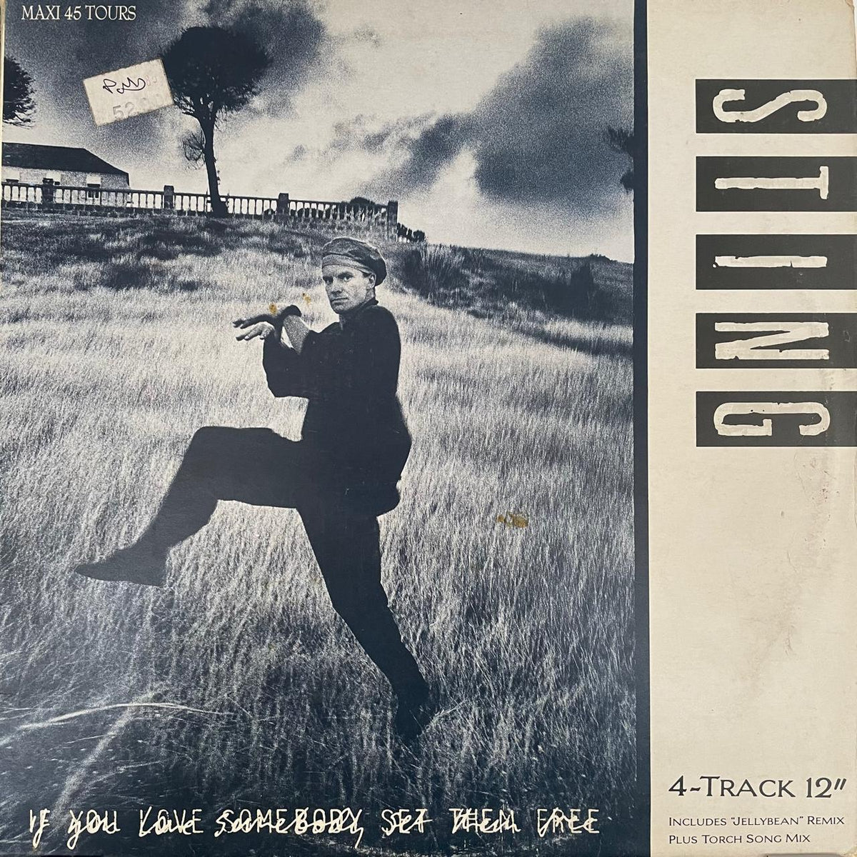 Sting – If You Love Somebody Set Them Free (EX, FUNDA VG+) BOX2